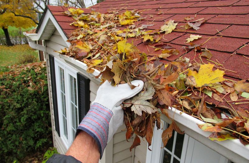 Winter Gutter Readiness