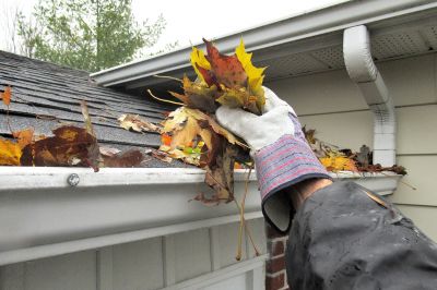 Roof and Gutter Care